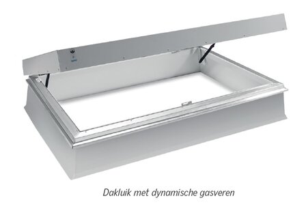 Dakluik metaal inclusief dakopstand | dagmaat 90x240cm